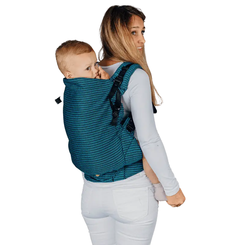 Tanzanite LennyPreschool Carrier by LennyLamb LennyLamb