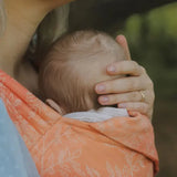 Willow Esprit Bairn Baby Carrier by Oscha Oscha