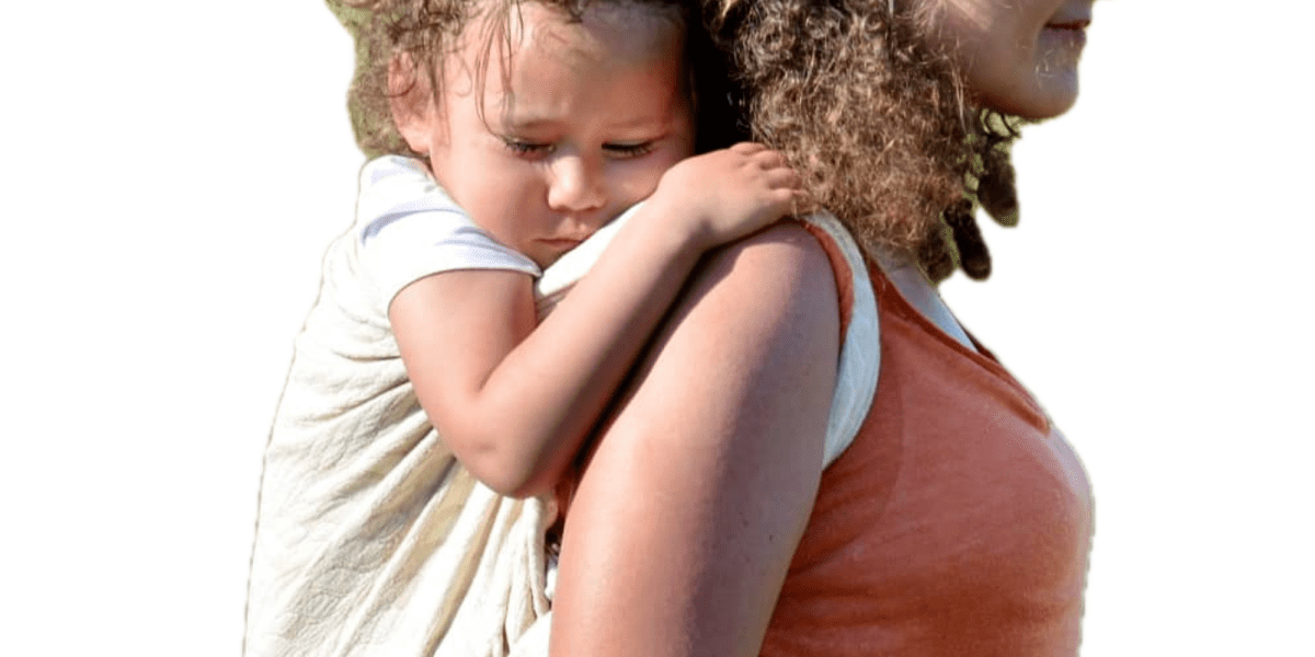 Try Before You Buy Collection - Canada - Little Zen One