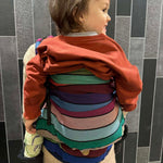 Carousel LennyPreschool Carrier by LennyLamb LennyLamb at Little Zen One