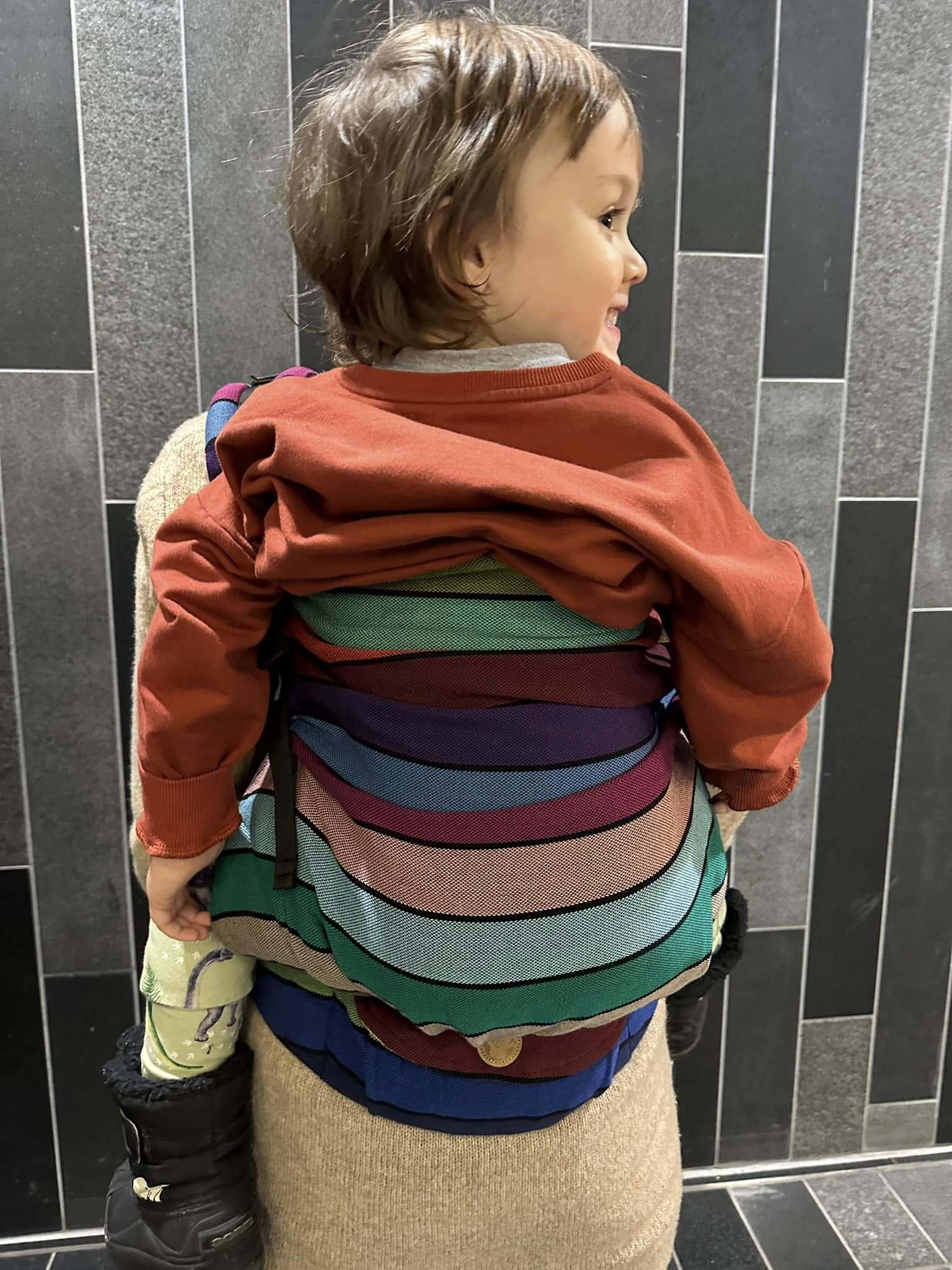 Carousel LennyPreschool Carrier by LennyLamb LennyLamb at Little Zen One