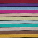 Carousel of Colors LennyUpGrade PRO by Lenny Lamb LennyLamb at Little Zen One