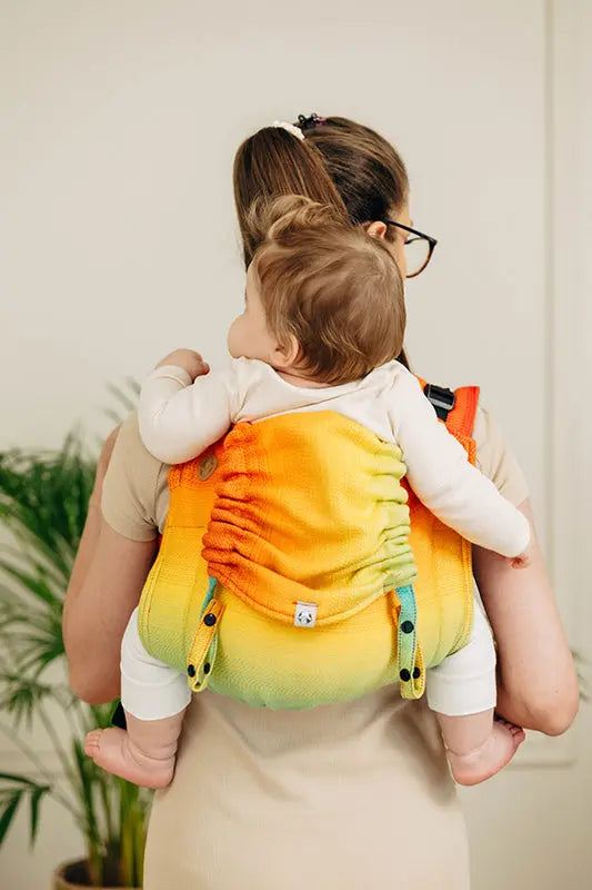 Rainbow Baby Toddler Onbuhimo PRO by LennyLamb LennyLamb