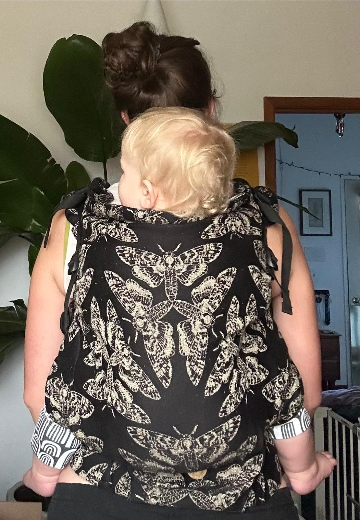 Queen of the Night Pamina LennyPreschool Carrier by LennyLamb LennyLamb at Little Zen One