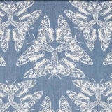 Queen of the Night Tamino Shawl by LennyLamb