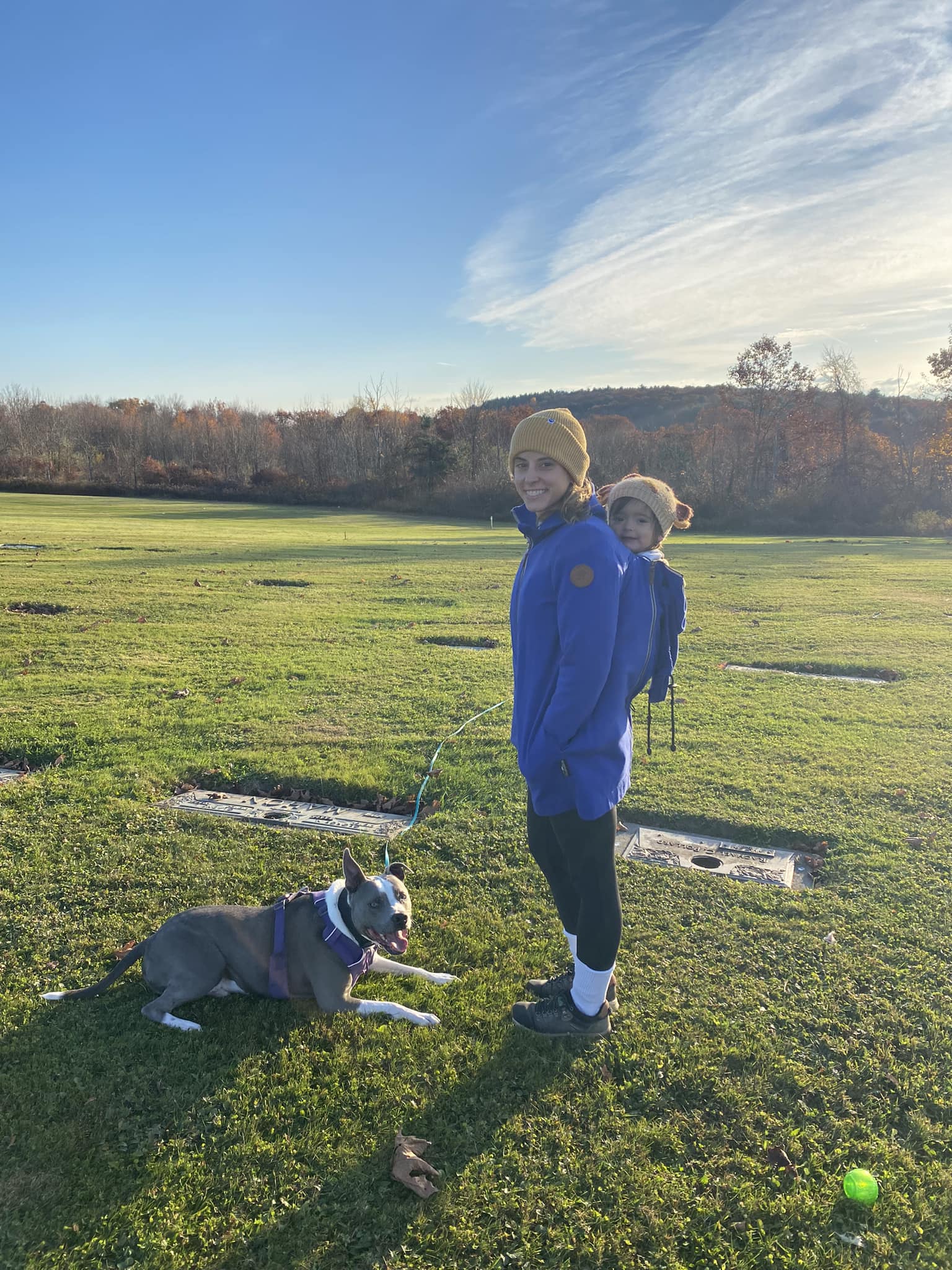 Angel Wings Babywearing Sweatshirt Cobalt Blue Angel Wings at Little Zen One