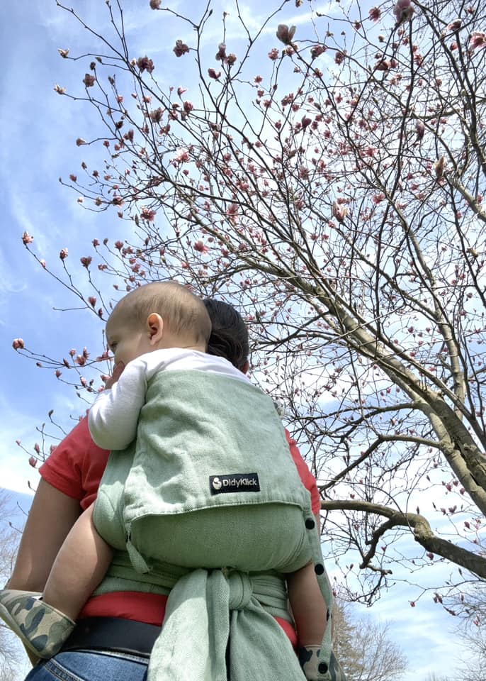 Jade DidyKlick 4u Half Buckle by Didymos Didymos at Little Zen One