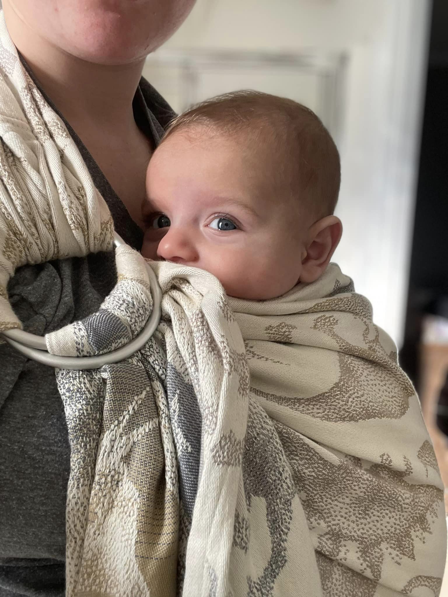 Jurassic Park Ice Desert Ring Sling by LennyLamb LennyLamb at Little Zen One