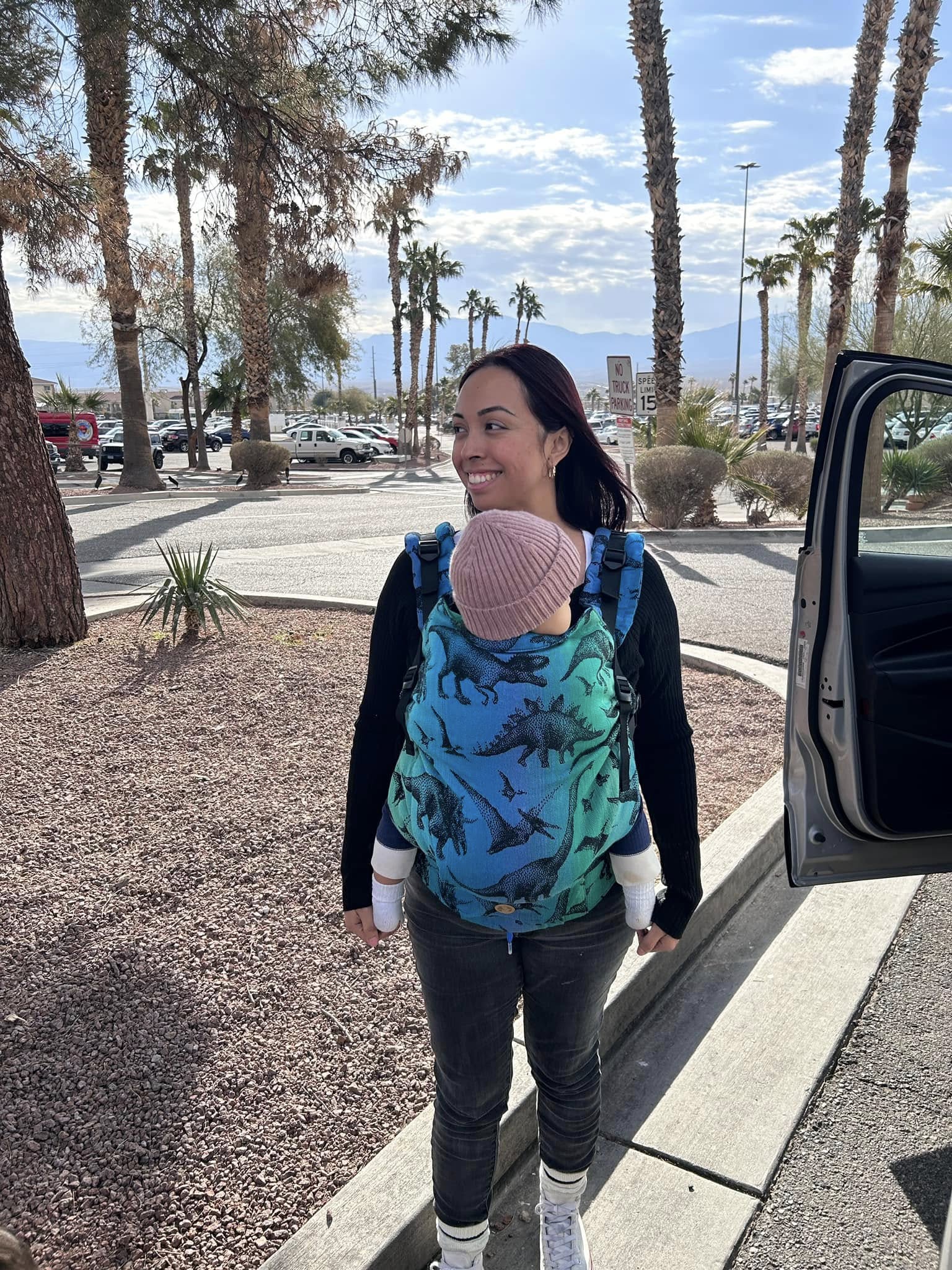 Jurassic Park LennyPreschool Carrier by LennyLamb LennyLamb at Little Zen One