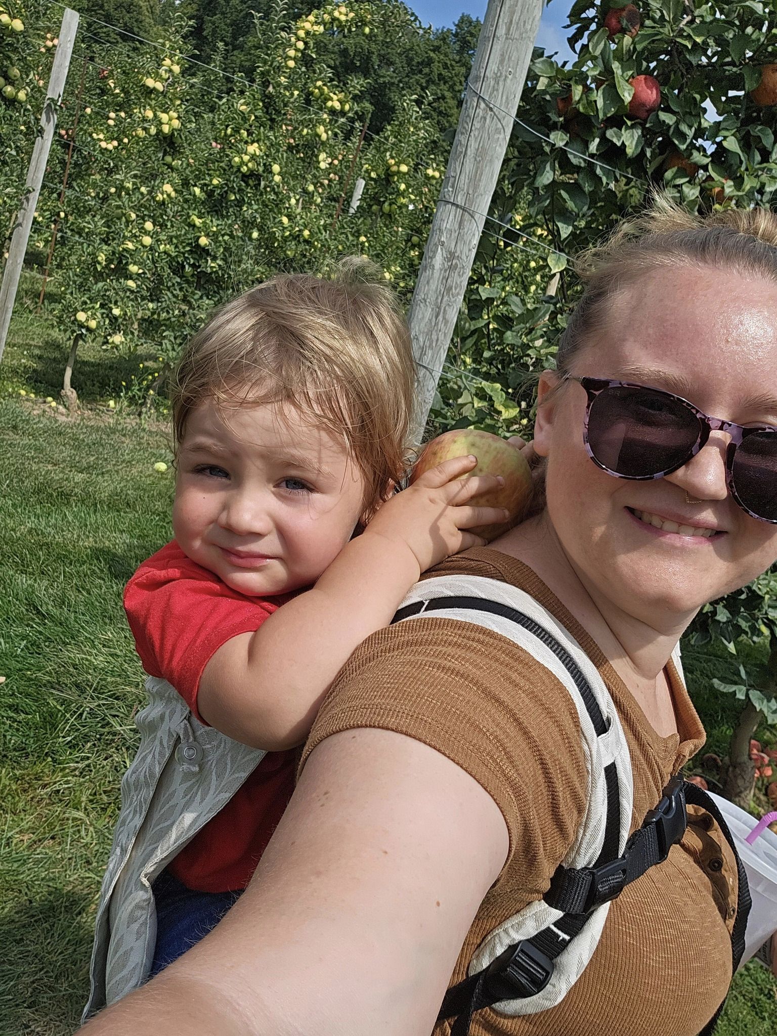 Trias Creme DidyGo Onbuhimo  by Didymos Didymos at Little Zen One