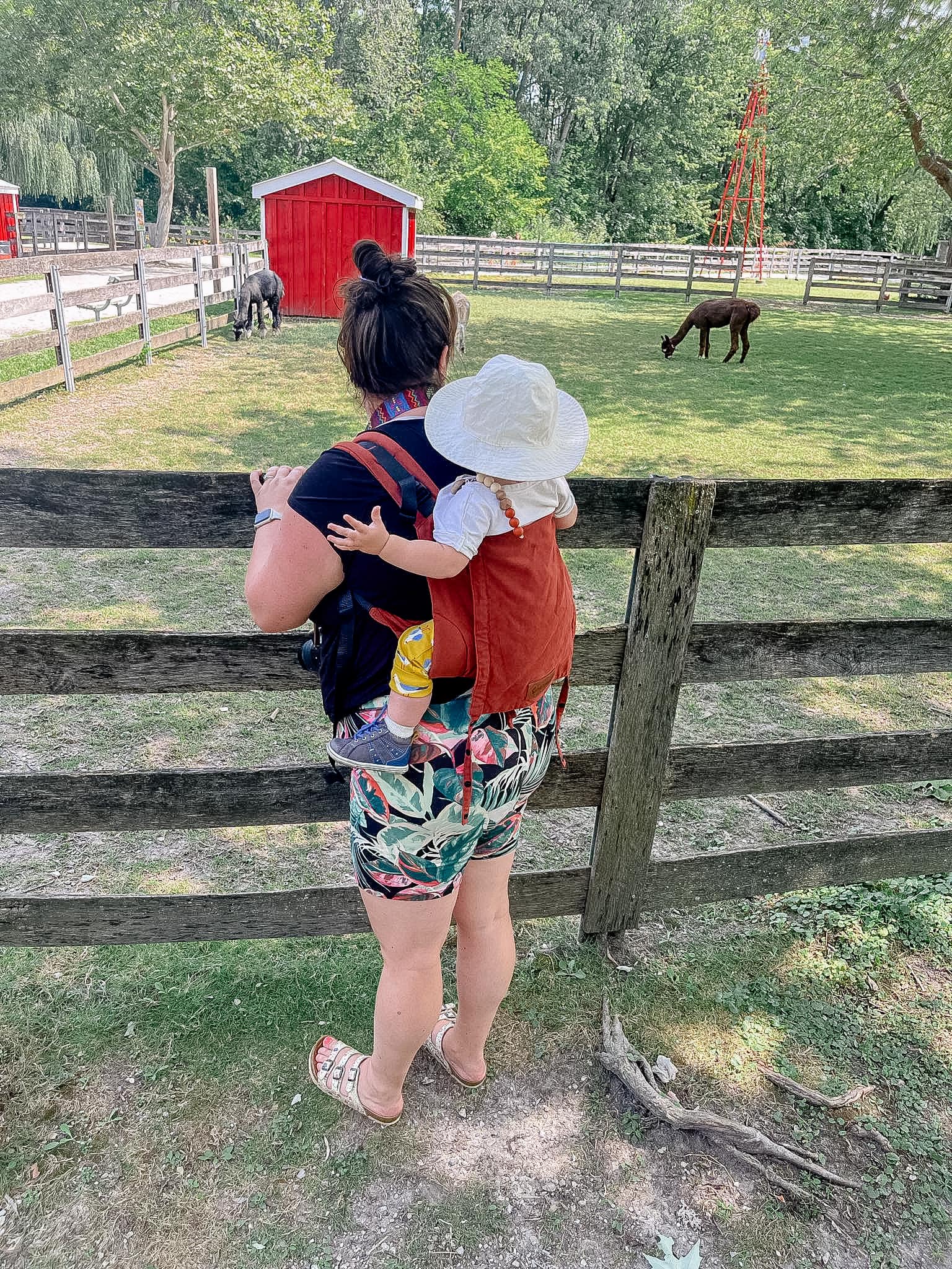 Rusty Red DidyGo Onbuhimo by Didymos Didymos at Little Zen One