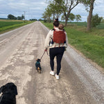 Rusty Red DidyGo Onbuhimo by Didymos Didymos at Little Zen One