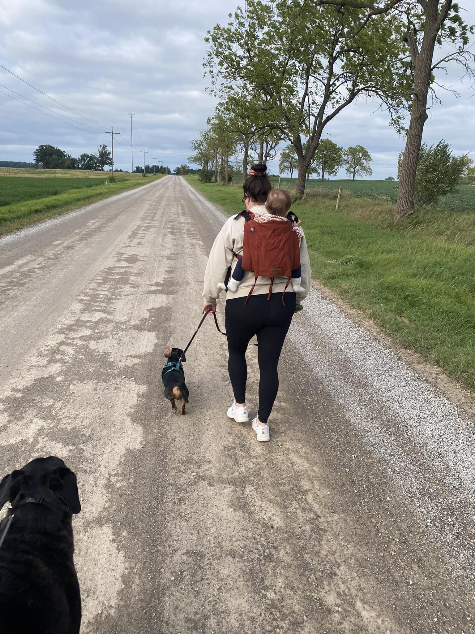 Rusty Red DidyGo Onbuhimo by Didymos Didymos at Little Zen One