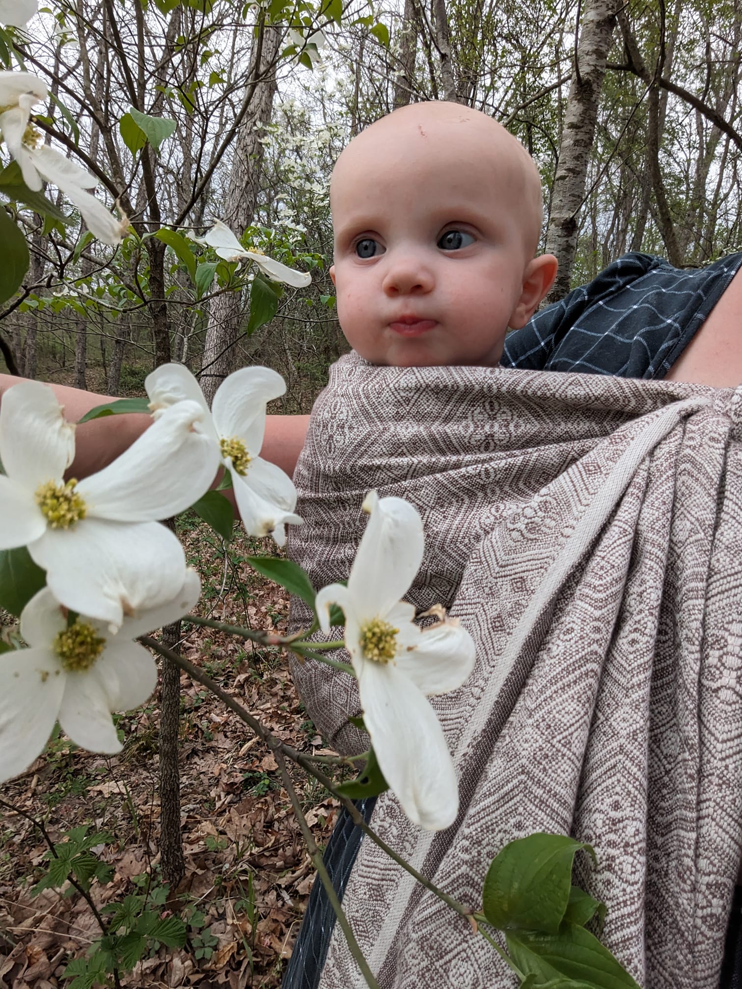 Stracciatella hemp 1975 DidySling Ring Sling by Didymos Didymos at Little Zen One