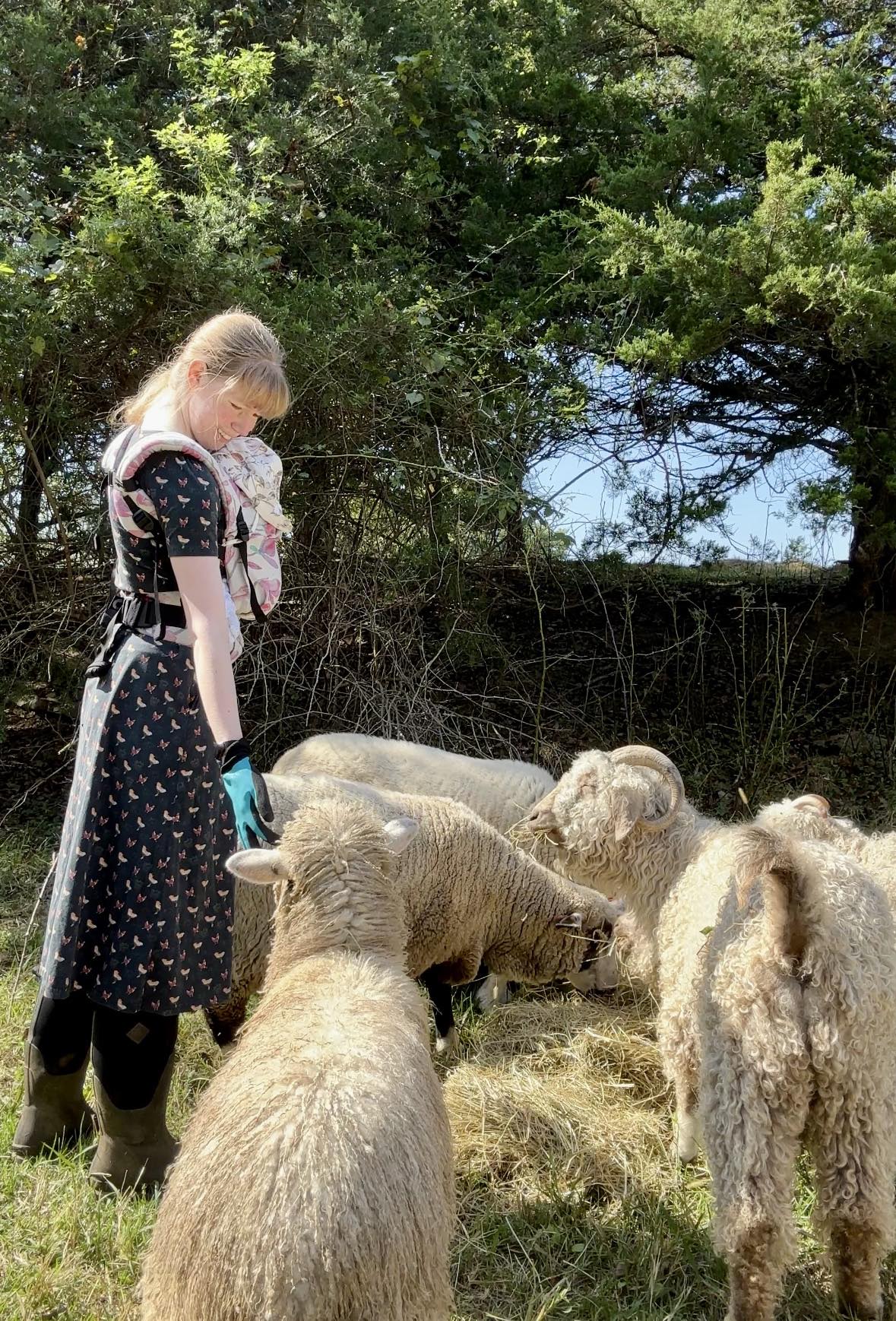 Magnolia LennyLight Baby Carrier by LennyLamb LennyLamb at Little Zen One