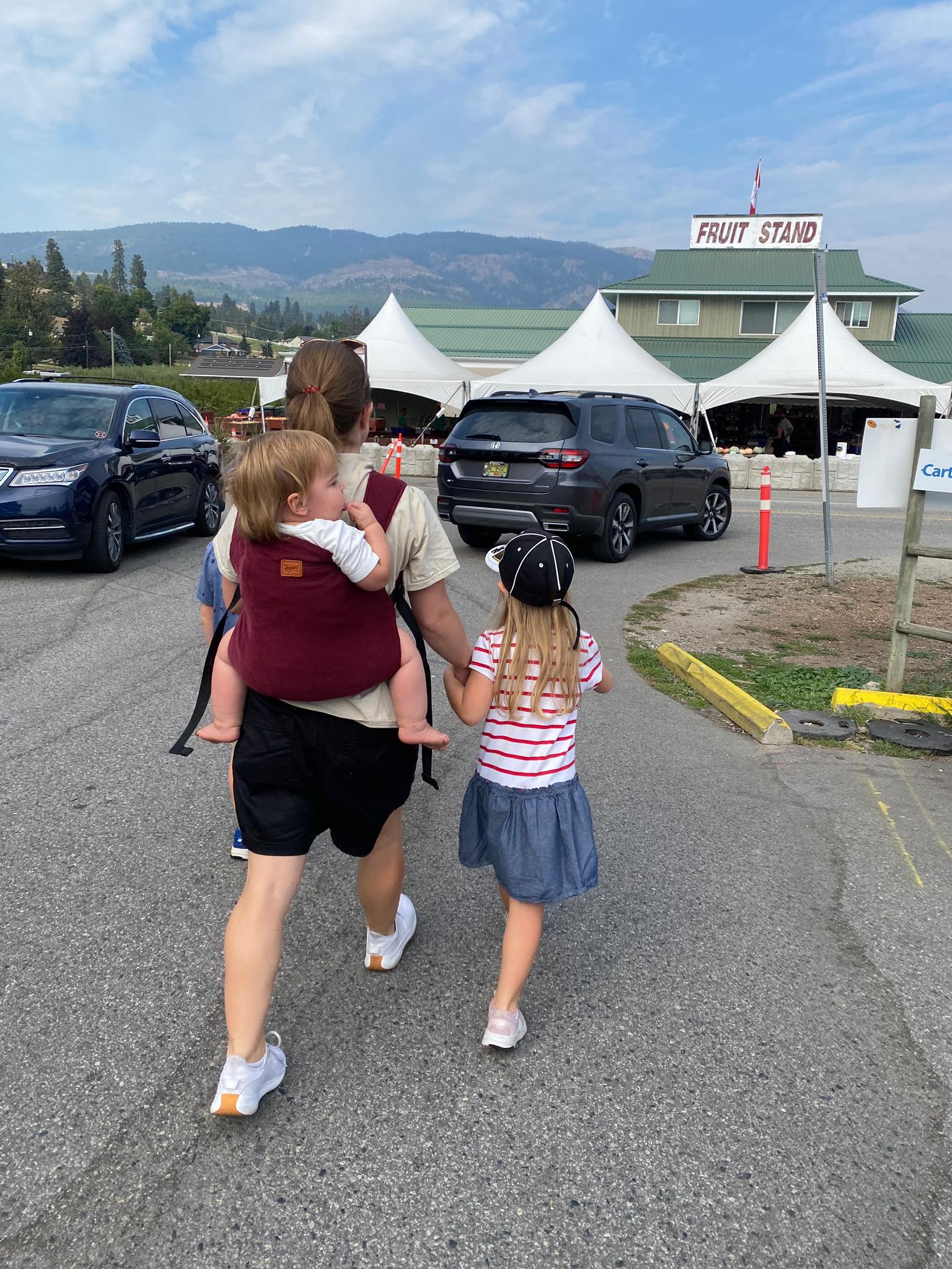 Currant Original Baby Carrier by Happy Baby Happy Baby at Little Zen One