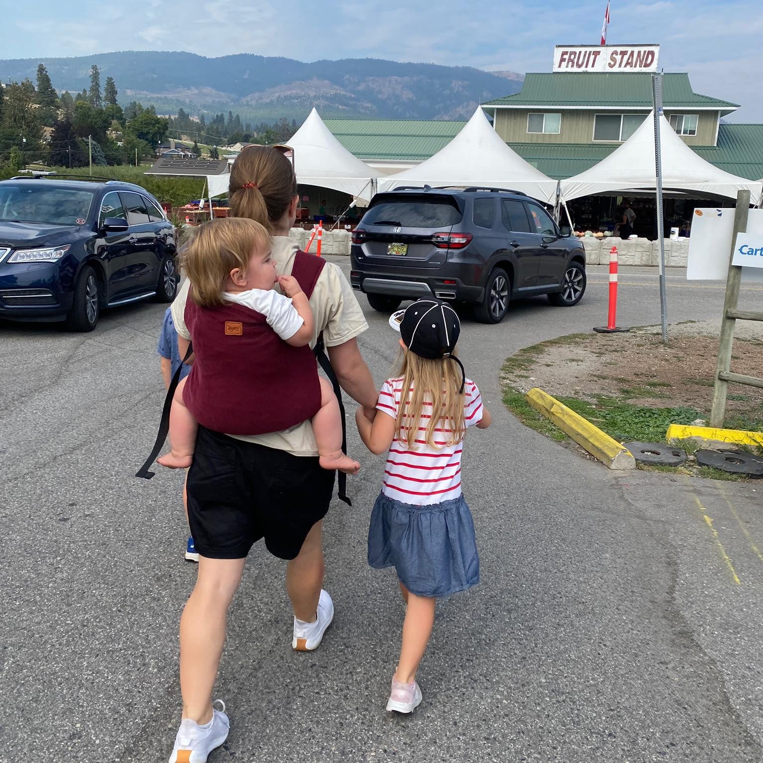 Currant Toddler Carrier by Happy Baby Happy Baby at Little Zen One