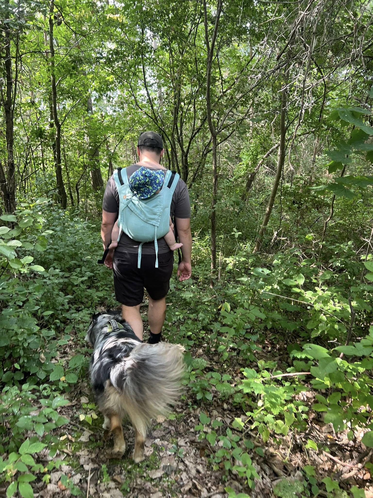 Agave Onbuhimo PRO by LennyLamb LennyLamb at Little Zen One