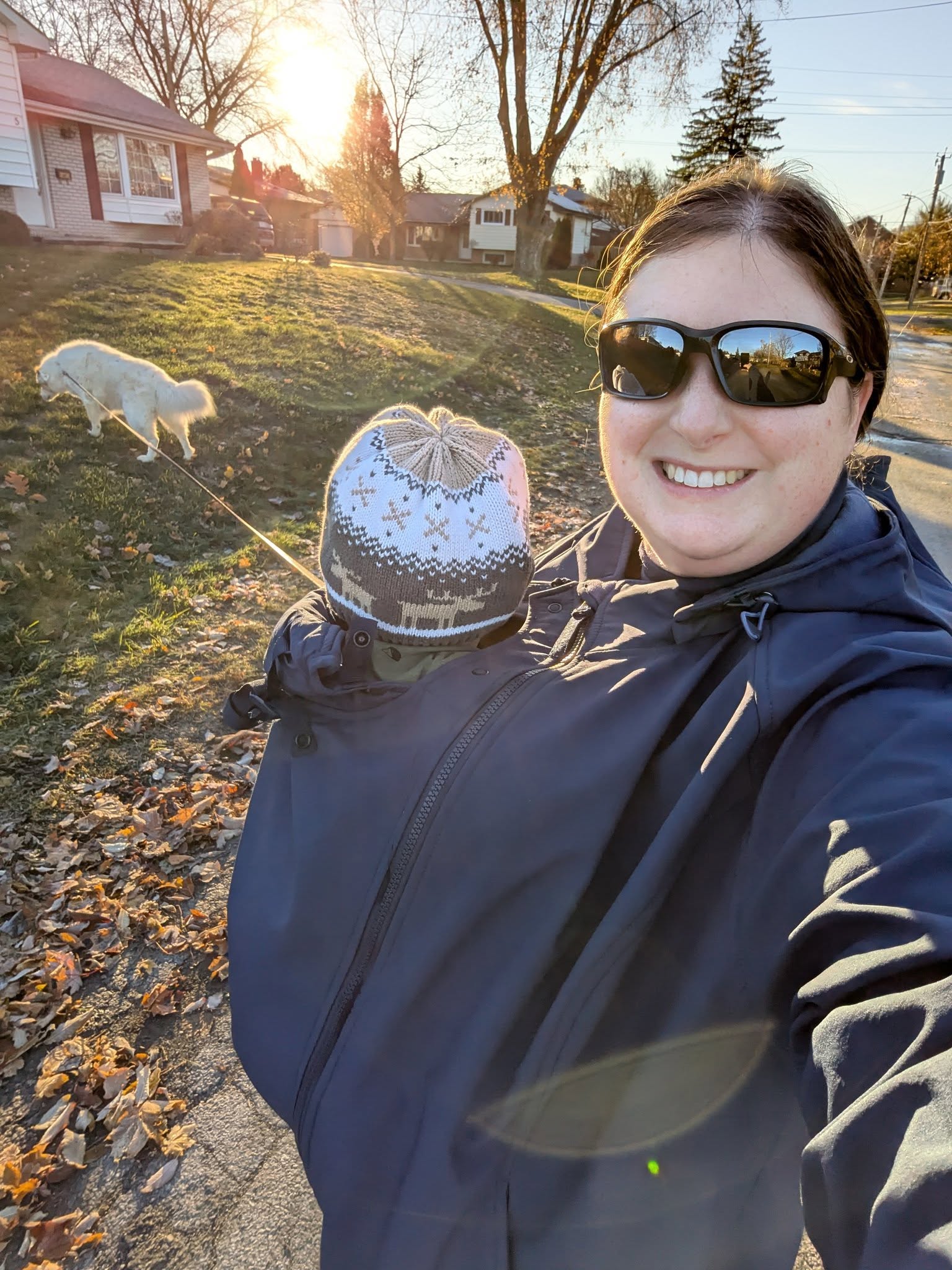 Mamalila Allrounder Navy Softshell Maternity and Babywearing Jacket Mamalila at Little Zen One