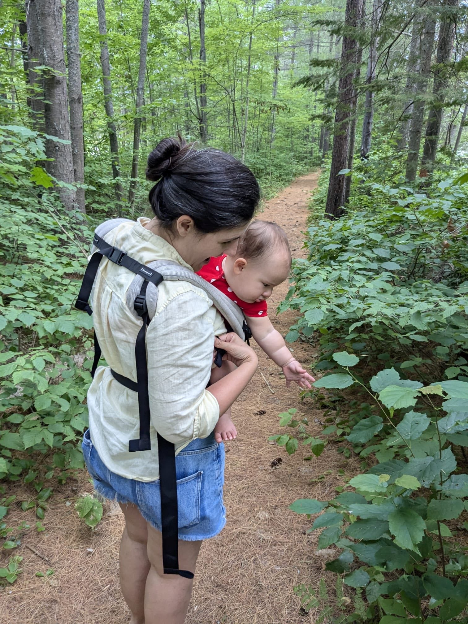 Peanut LennyLight Baby Carrier by LennyLamb LennyLamb at Little Zen One