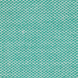 Agave LennyPreschool Carrier by LennyLamb - Buckle CarrierLittle Zen One5907557780889