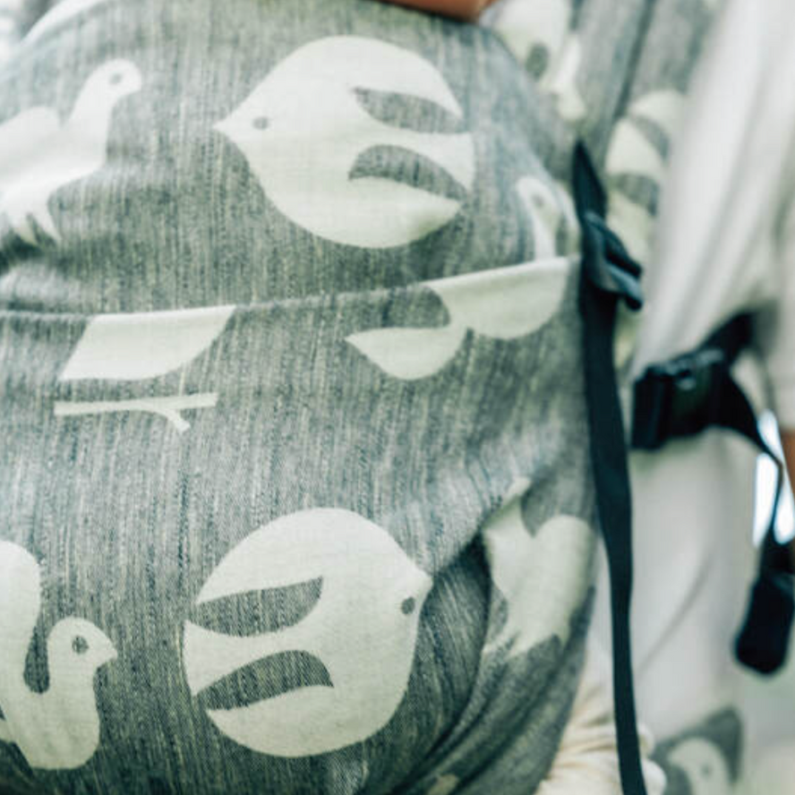 Birdy White Noise LennyLight by LennyLamb - Buckle CarrierLittle Zen One5907557789738