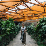 Caktin Willow LennyHybrid Half Buckle by LennyLamb - Half Buckle CarrierLittle Zen One5907557784962