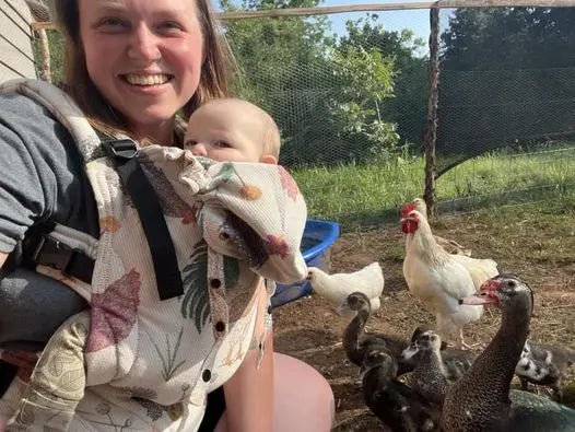 Chickens Exclusive by LennyLamb X LennyGo Buckle Carrier