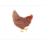 Chickens Exclusive by LennyLamb x Little Zen One LennyLight - Buckle CarrierLittle Zen One93037136