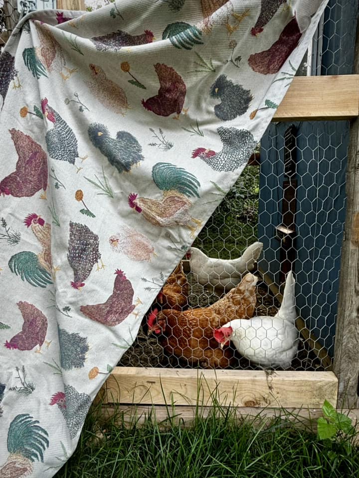 Chickens Exclusive by LennyLamb x Little Zen One Ring Sling - Ring SlingLittle Zen One18741584