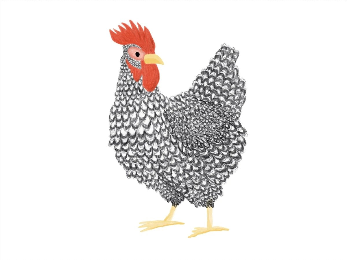 Chickens Exclusive by LennyLamb x Little Zen One Shopping Bag - BagsLittle Zen One93528656