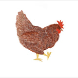 Chickens Exclusive by LennyLamb x Little Zen One Shopping Bag - BagsLittle Zen One93528656