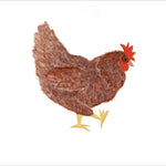 Chickens Exclusive by LennyLamb X Preschool Onbuhimo Pro Onbuhimo