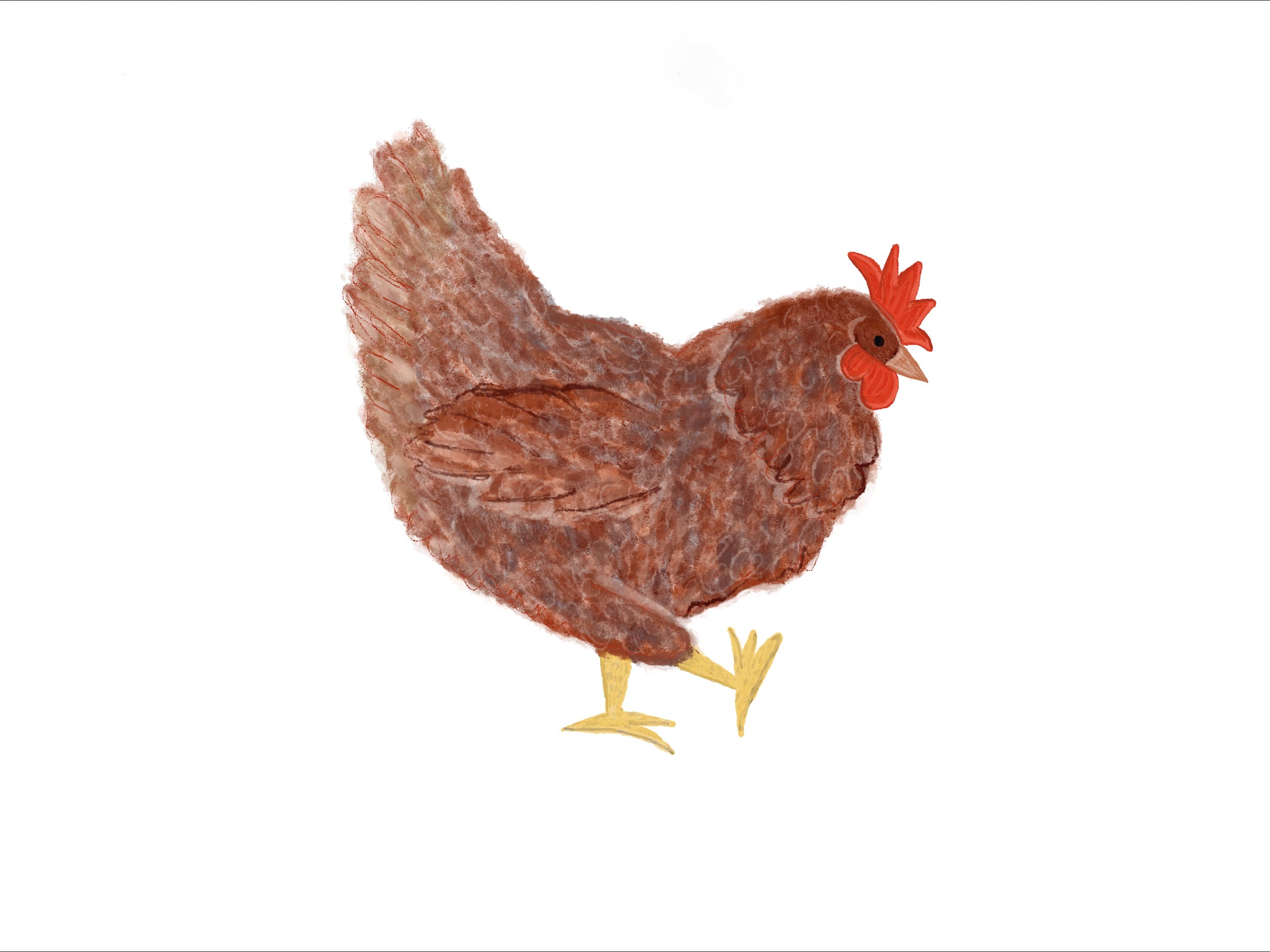 Chickens Exclusive by LennyLamb x Little Zen One Toddler Onbuhimo PRO LennyLamb