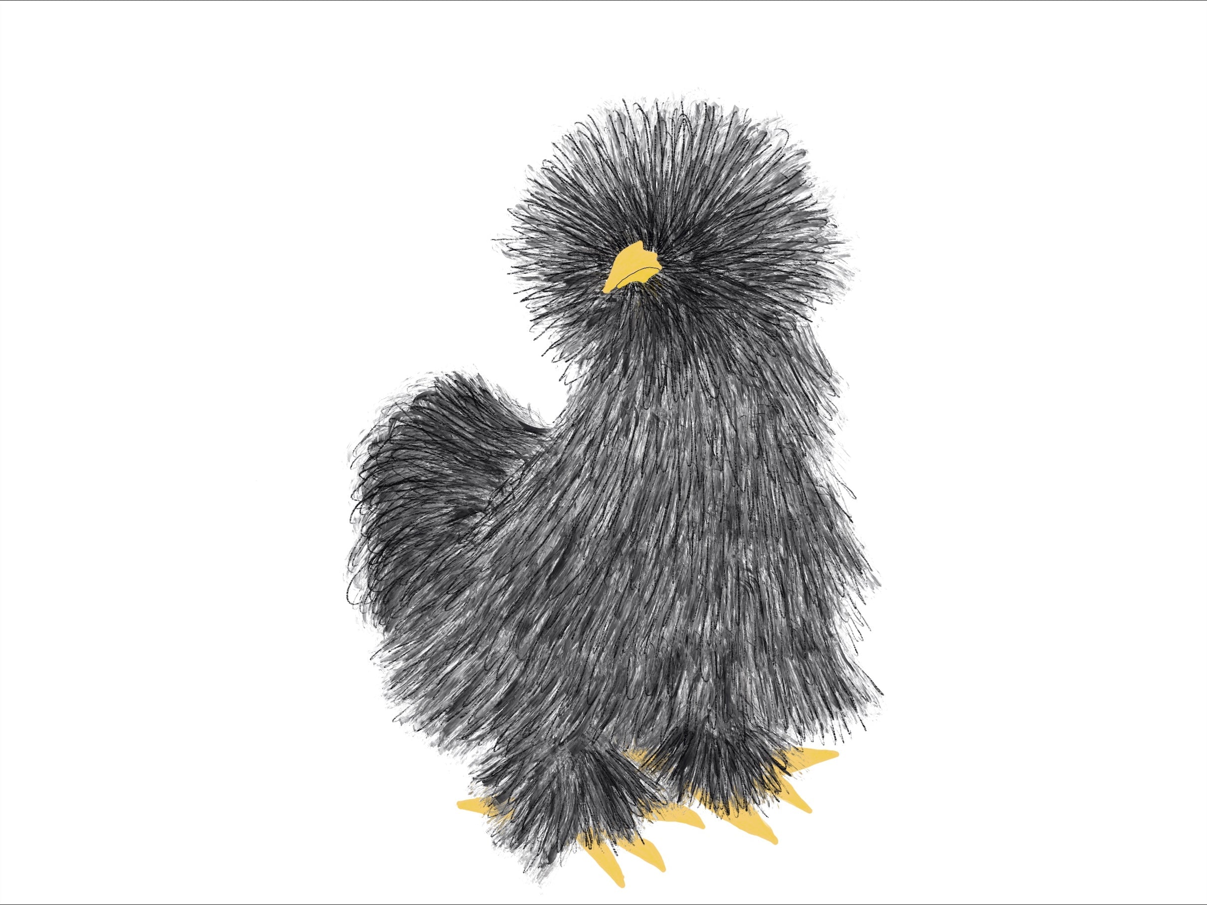 Chickens Exclusive by LennyLamb x Little Zen One Toddler Onbuhimo PRO LennyLamb
