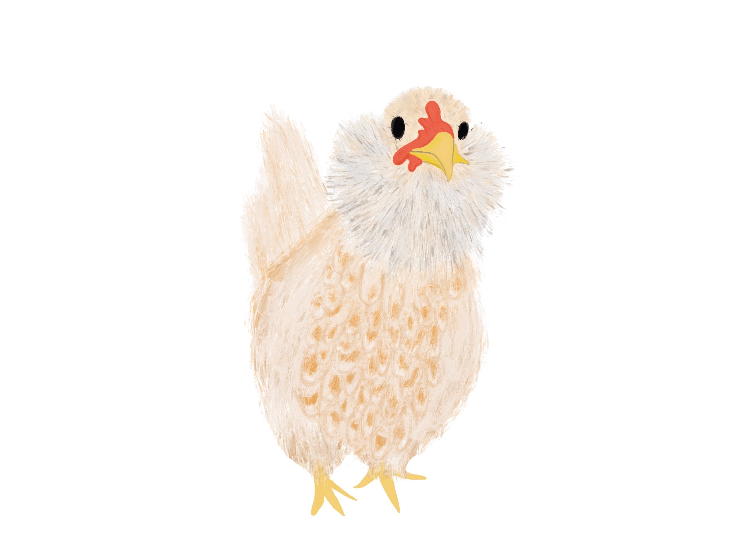 Chickens Exclusive by LennyLamb x Little Zen One Toddler Onbuhimo PRO LennyLamb