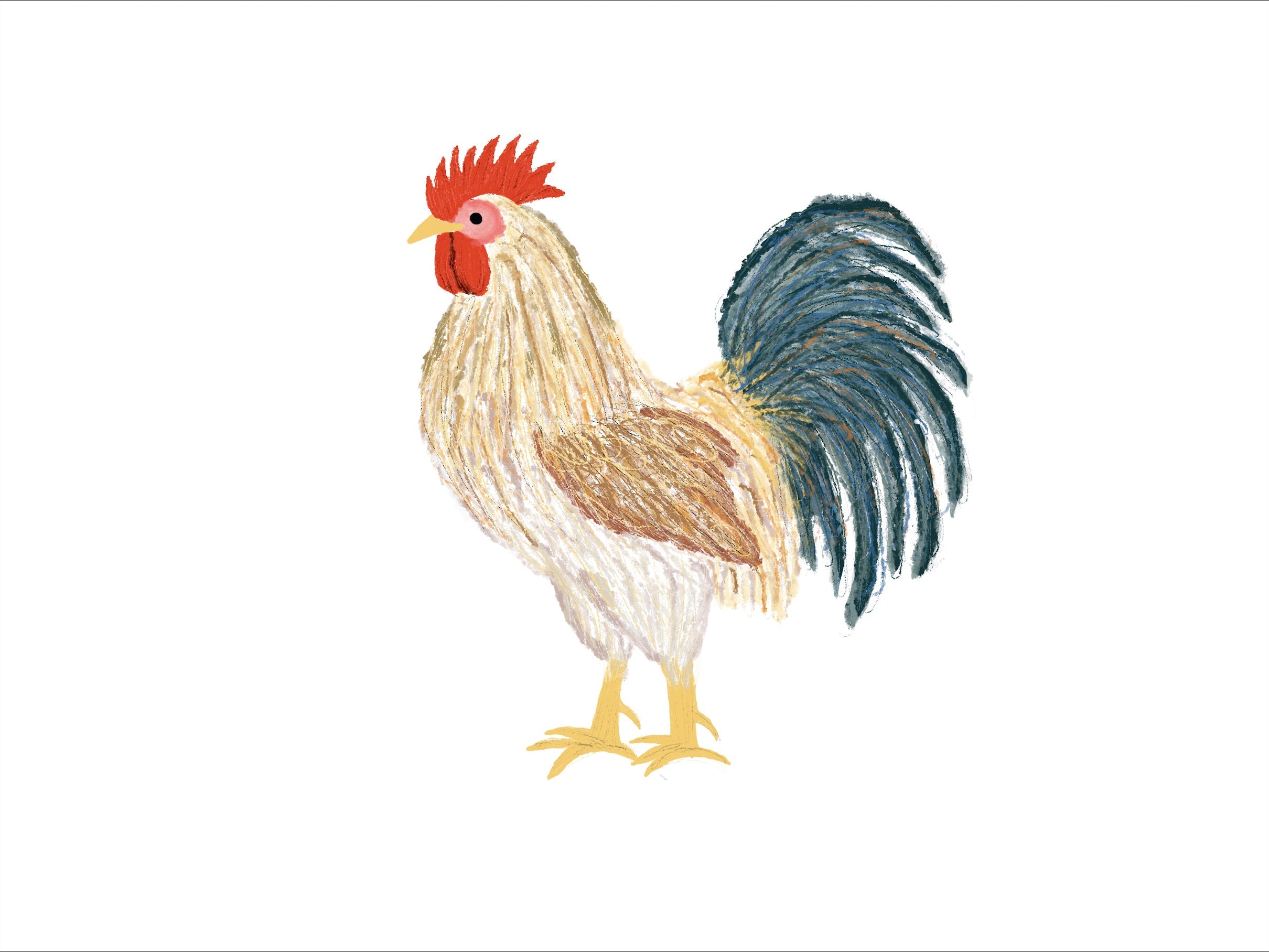 Chickens Exclusive by LennyLamb x Little Zen One Toddler Onbuhimo PRO LennyLamb