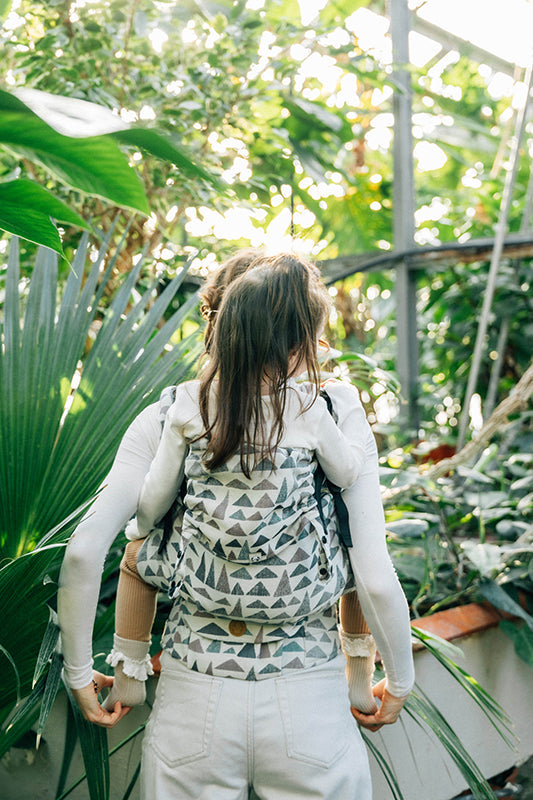 Eagle Rocks Hike LennyPreschool Carrier