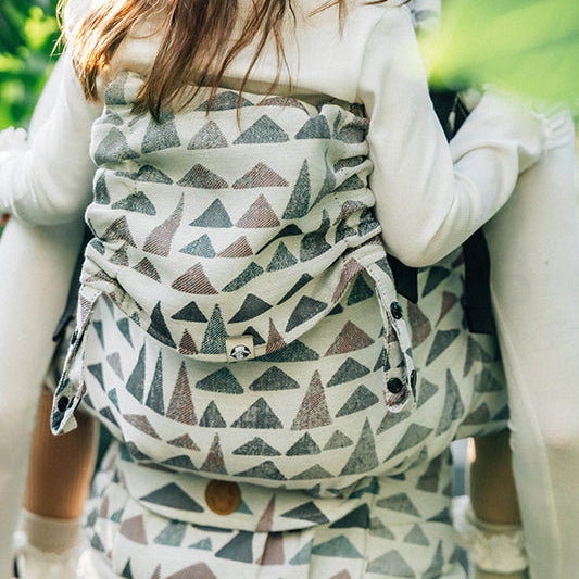 Eagle Rocks Hike LennyPreschool Carrier