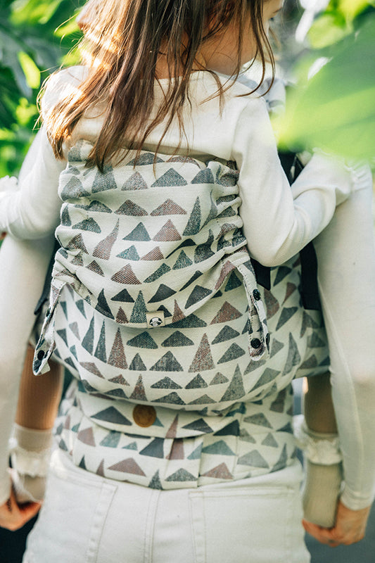 Eagle Rocks Hike LennyPreschool Carrier