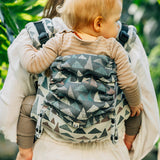 Eagle Rocks Hike Toddler Onbuhimo Pro