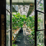 Eagle Rocks Hike Toddler Onbuhimo PRO by LennyLamb LennyLamb at Little Zen One