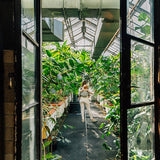 Eagle Rocks Hike Toddler Onbuhimo PRO by LennyLamb LennyLamb at Little Zen One