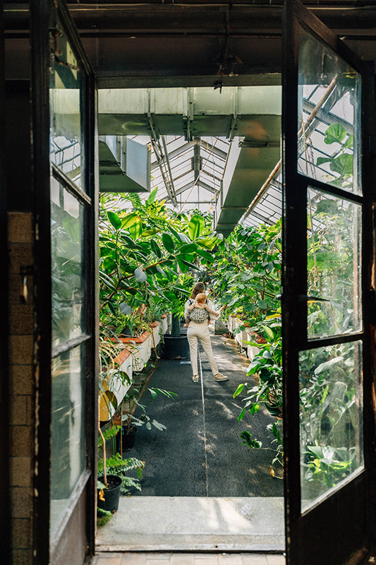 Eagle Rocks Hike Toddler Onbuhimo PRO by LennyLamb LennyLamb at Little Zen One