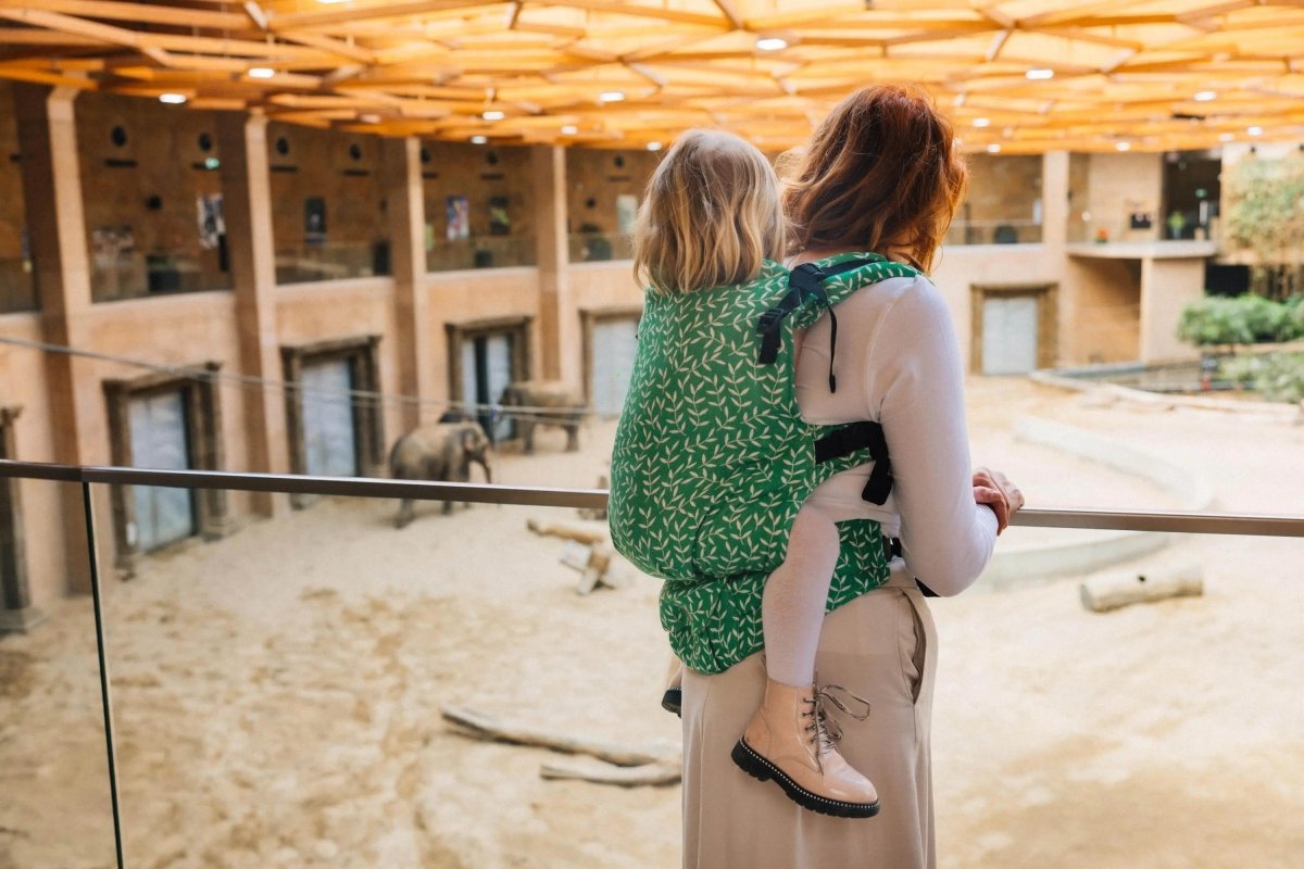 Enchanted Nook Evergreen LennyPreschool Carrier by LennyLamb - Buckle CarrierLittle Zen One5907557784870