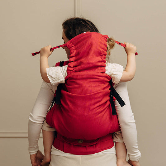 Herringbone Sedona LennyPreschool Carrier