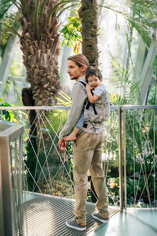 Hexaflowers Mirror LennyPreschool Carrier
