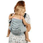 Iceberg LennyPreschool Carrier