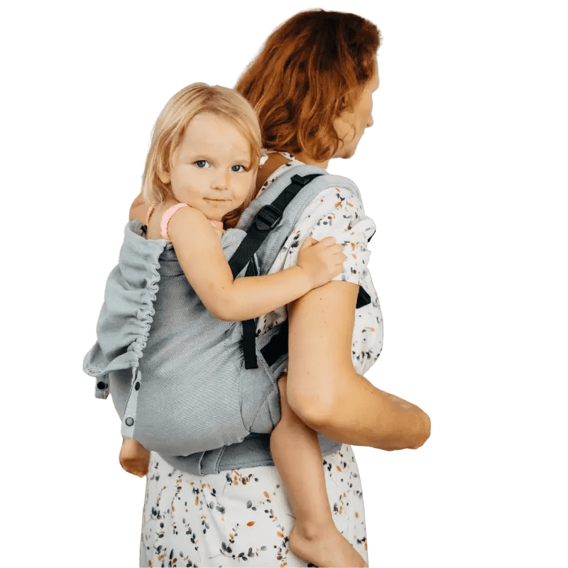 Iceberg LennyPreschool Carrier