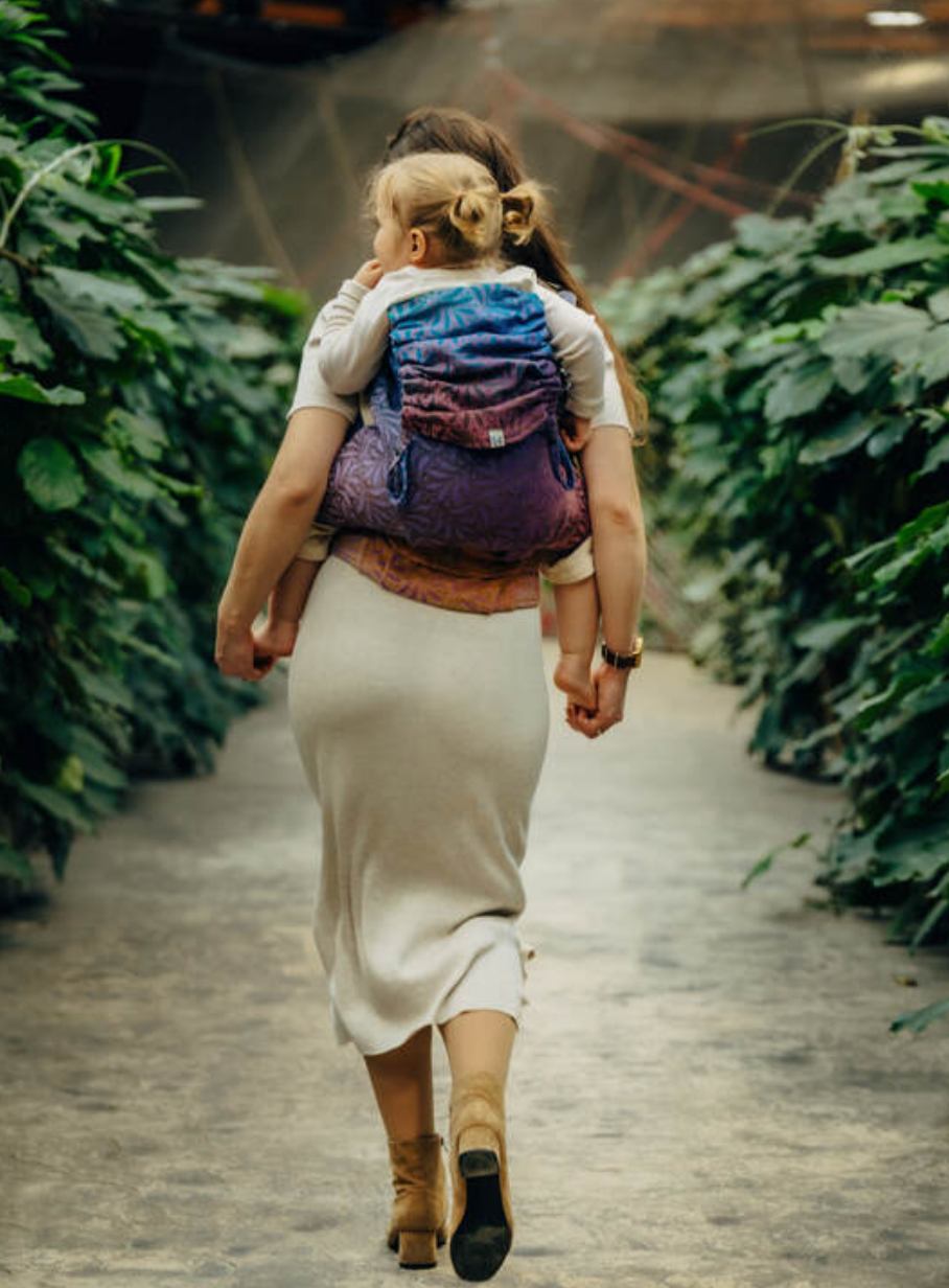 Infinity Roller LennyPreschool Carrier by LennyLamb LennyLamb at Little Zen One